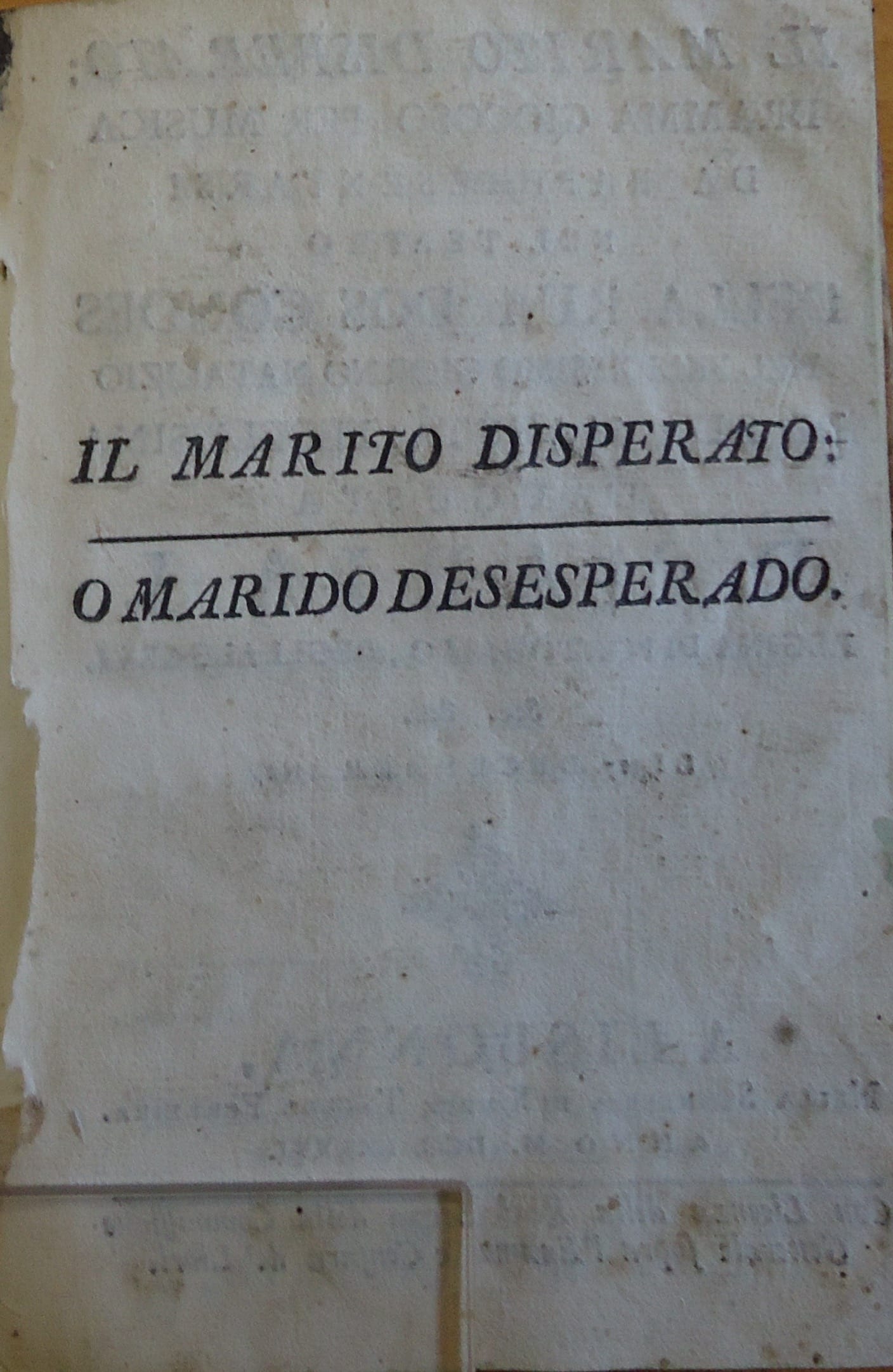 Image 7706